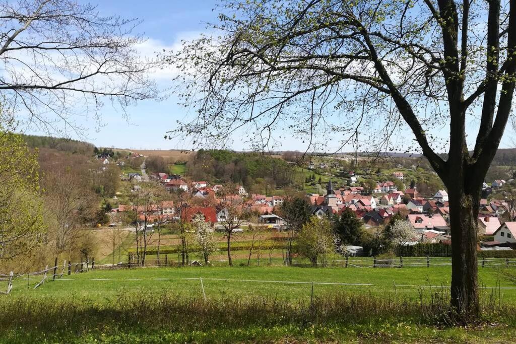 Ferienhaus Zum Kuckuck, Wng 2, Urlaub Im Eichsfeld Kallmerode Buitenkant foto