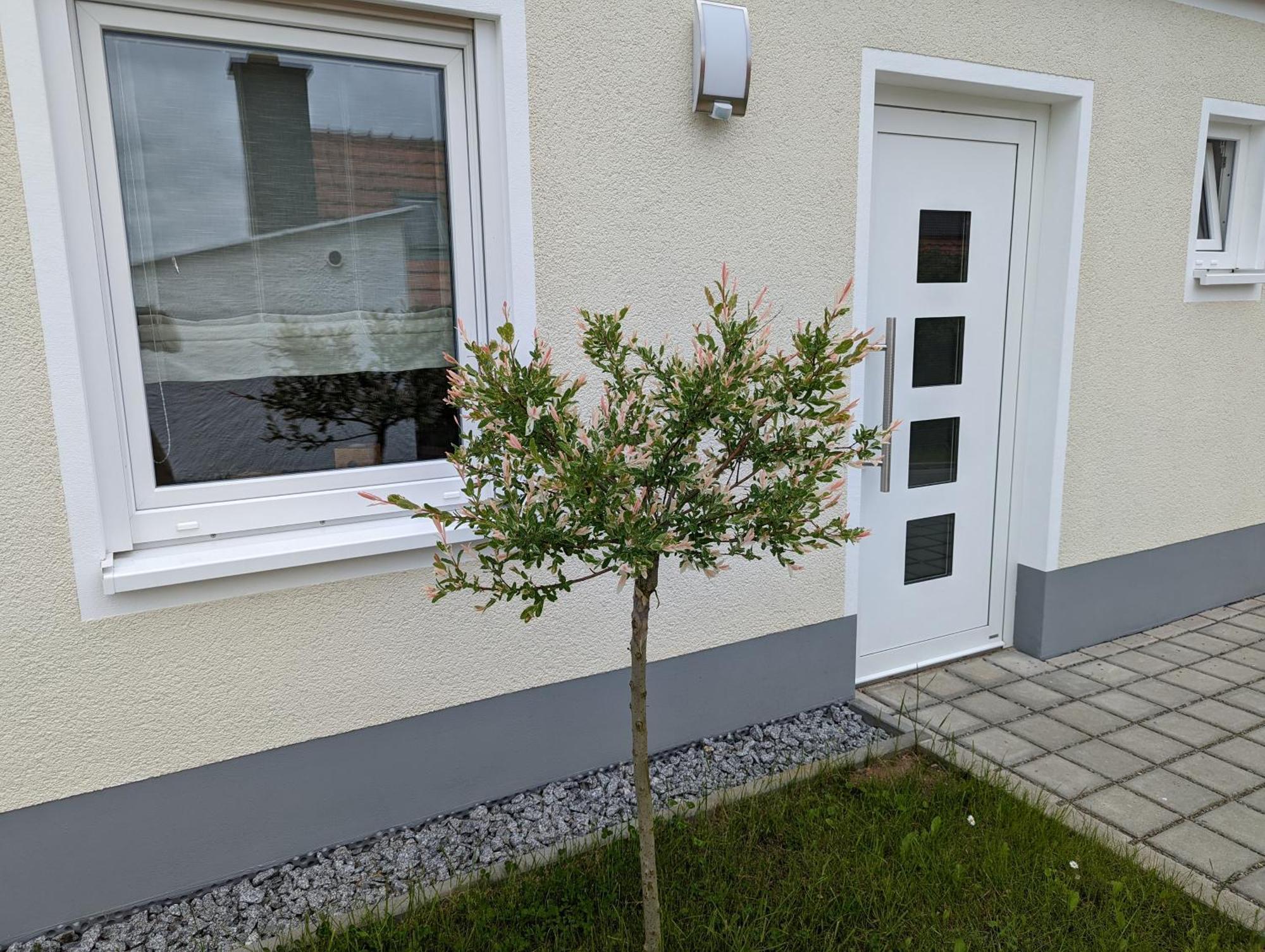 Ferienhaus Zum Kuckuck, Wng 2, Urlaub Im Eichsfeld Kallmerode Buitenkant foto