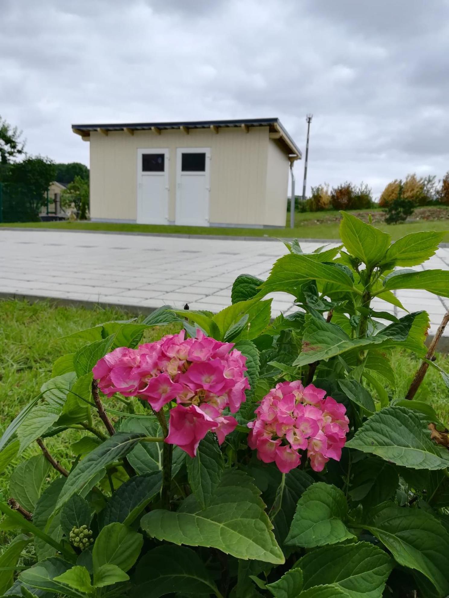 Ferienhaus Zum Kuckuck, Wng 2, Urlaub Im Eichsfeld Kallmerode Buitenkant foto